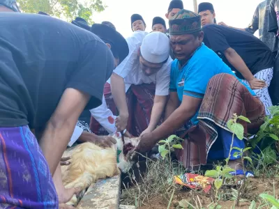 WhatsApp Image 2024-06-17 at 08